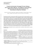 Treating ischemically damaged porcine kidneys with human bone marrow- and adipose tissue-derived mesenchymal stromal cells during ex vivo normothermic machine perfusion