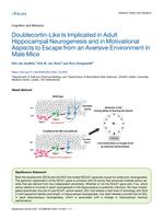 Doublecortin-like is implicated in adult hippocampal neurogenesis and in motivational aspects to escape from an aversive environment in male mice