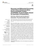 Discovery and differential processing of HLA class II-restricted minor histocompatibility antigen LB-PIP4K2A-1S and its allelic variant by asparagine endopeptidase