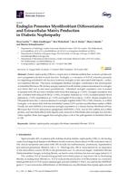 Endoglin promotes myofibroblast differentiation and extracellular matrix production in diabetic nephropathy