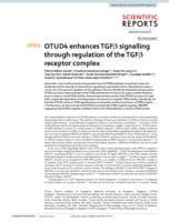 OTUD4 enhances TGF beta signalling through regulation of the TGF beta receptor complex