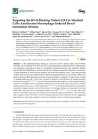 Targeting the RNA-binding protein QKI in myeloid cells ameliorates macrophage-induced renal interstitial fibrosis