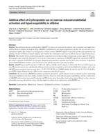 Additive effect of erythropoietin use on exercise-induced endothelial activation and hypercoagulability in athletes