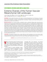 Extreme diversity of the human vascular mesenchymal cell landscape