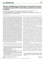 Glucose availability but not changes in pancreatic hormones sensitizes hepatic AMPK activity during nutritional transition in rodents