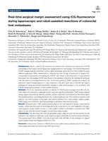 Real-time surgical margin assessment using ICG-fluorescence during laparoscopic and robot-assisted resections of colorectal liver metastases