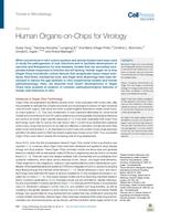 Human organs-on-chips for virology