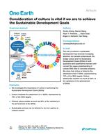 Consideration of culture is vital if we are to achieve the Sustainable Development Goals
