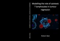 Modelling the role of cytotoxic T lymphocytes in tumour regression