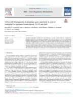 Cell-to-cell heterogeneity of phosphate gene expression in yeast is controlled by alternative transcription, 14-3-3 and Spl2