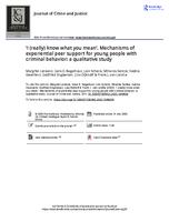 ‘I (really) know what you mean’. Mechanisms of experiential peer support for young people with criminal behavior