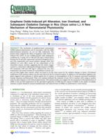 Graphene oxide-induced pH alteration, iron overload, and subsequent oxidative damage in rice (Oryza sativa L.): a new mechanism of nanomaterial phytotoxicity