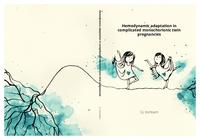 Hemodynamic adaptation in complicated monochorionic twin pregnancies