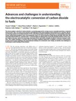 Advances and challenges in understanding the electrocatalytic conversion of carbon dioxide to fuels