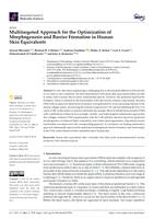 Multitargeted approach for the optimization of morphogenesis and barrier formation in human skin equivalents