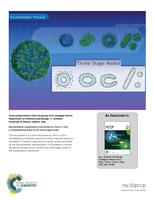 Biomembrane solubilization mechanism by Triton X-100