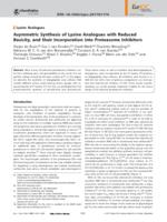 Asymmetric synthesis of lysine analogues with reduced basicity, and their incorporation into proteasome inhibitors