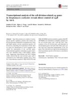 Transcriptional analysis of the cell division-related ssg genes in Streptomyces coelicolor reveals direct control of ssgR by AtrA