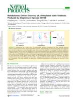 Metabolomics-driven discovery of a prenylated isatin antibiotic produced by Streptomyces species MBT28