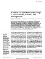 Bacterial solutions to multicellularity