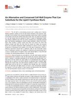 An alternative and conserved cell wall enzyme that can substitute for the lipid II synthase MurG