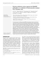 Eliciting antibiotics active against the ESKAPE pathogens in a collection of actinomycetes isolated from mountain soils