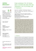 Ectopic positioning of the cell division plane is associated with single amino acid substitutions in the FtsZ-recruiting SsgB in Streptomyces