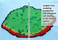 Insights from modeling metabolism and amoeboid cell motility in the immune system