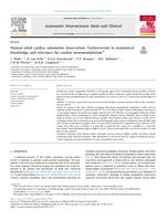 Human adult cardiac autonomic innervation: controversies in anatomical knowledge and relevance for cardiac neuromodulation