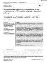 Plasmodium bergheisporozoites in nonreplicative vacuole are eliminated by a PI3P-mediated autophagy-independent pathway