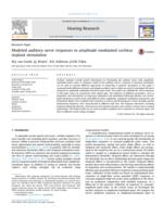 Modeled auditory nerve responses to amplitude modulated cochlear implant stimulation