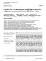 Mechanical stress regulates bone regulatory gene expression independent of estrogen and vitamin D deficiency in rats