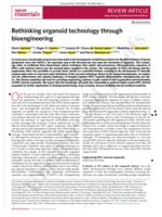 Rethinking organoid technology through bioengineering