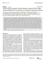 Ad26.COV2.S protects Syrian hamsters against G614 spike variant SARS-CoV-2 and does not enhance respiratory disease