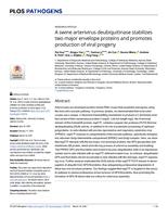 A swine arterivirus deubiquitinase stabilizes two major envelope proteins and promotes production of viral progeny