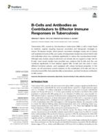 B-cells and antibodies as contributors to effector immune responses in tuberculosis