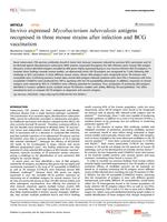 In-vivo expressed Mycobacterium tuberculosis antigens recognised in three mouse strains after infection and BCG vaccination