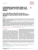 A physiological glucocorticoid rhythm is an important regulator of brown adipose tissue function