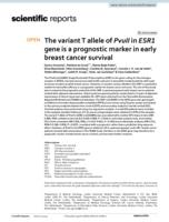 The variant T allele of PvuII in ESR1 gene is a prognostic marker in early breast cancer survival