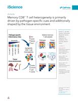 Memory CD8(+) T cell heterogeneity is primarily driven by pathogen-specific cues and additionally shaped by the tissue environment