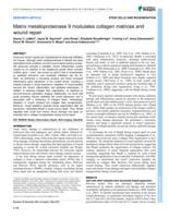 Matrix metalloproteinase 9 modulates collagen matrices and wound repair