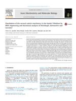 Elucidation of the serosal cuticle machinery in the beetle Tribolium by RNA sequencing and functional analysis of Knickkopf1, Retroactive and Laccase2