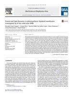 Protein and lipid dynamics in photosynthetic thylakoid membranes investigated by in-situ solid-state NMR