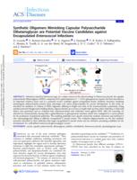 Synthetic oligomers mimicking capsular polysaccharide diheteroglycan are potential vaccine candidates against encapsulated Enterococcal infections