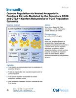 Quorum Regulation via Nested Antagonistic Feedback Circuits Mediated by the Receptors CD28 and CTLA-4 Confers Robustness to T Cell Population Dynamics