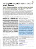 Uncoupling DNA damage from chromatin damage to detoxify doxorubicin