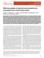 Effective uptake of submicrometre plastics by crop plants via a crack-entry mode