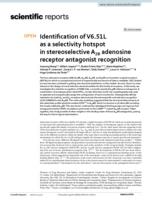 Identification of V6.51L as a selectivity hotspot in stereoselective A2B adenosine receptor antagonist recognition