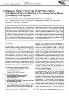 Molecular Tools for the Study of ADP-Ribosylation: A Unified and Versatile Method to Synthesise Native Mono-ADP-Ribosylated Peptides