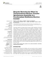 Bespoke Biomolecular Wires for Transmembrane Electron Transfer: Spontaneous Assembly of a Functionalized Multiheme Electron Conduit